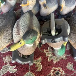 Duck Decoys