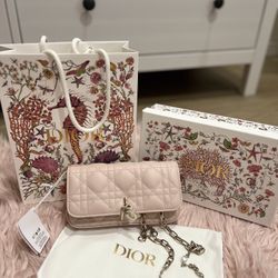 Dior Clutch