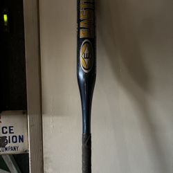 Easton Reflex Fast pitch Softball Bat