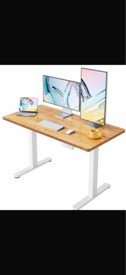 48x24 Inch Electric Standing Desk (I have lot of other desk sizes and colors 😀