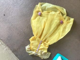 Disney princess dress and house