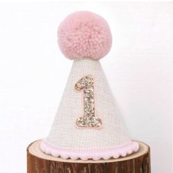 1st Birthday Party Hat 