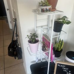 Metal Plant Shelve