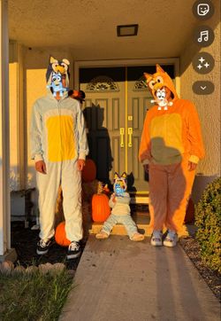 Spirit Halloween Bluey Overol 3 pcs. Dad, mom and toddler $50 obo