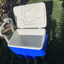 Coleman 40 qts 