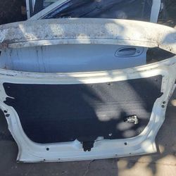 Trunk Door