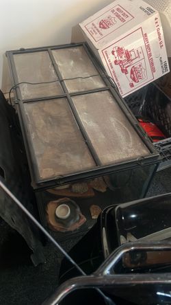 Lizard Or Snack Tank