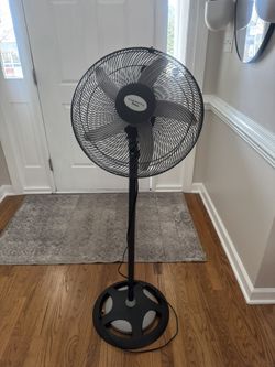 Standing Oscillating Fan