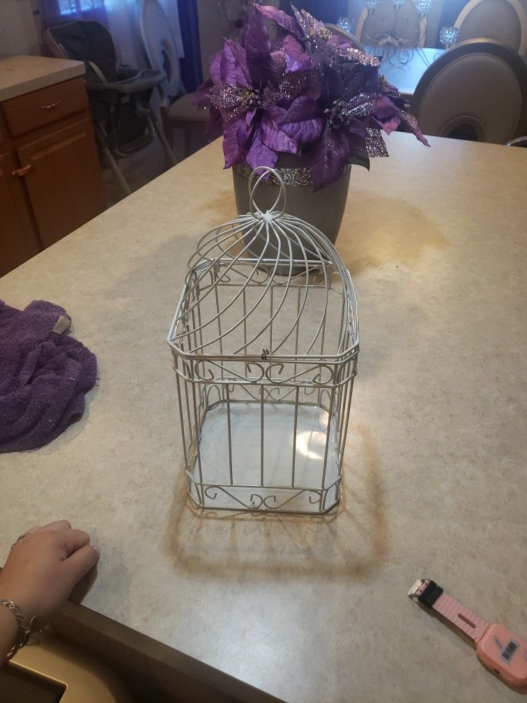 Bird Cage