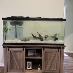 55 Gallons Fish Tank Set