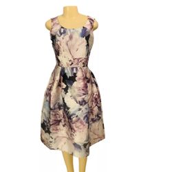 Alexa B Nites Sz 6 Women Floral Dress