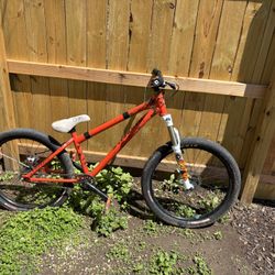 Specialized P3 Dirt Jumper