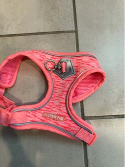 Dog harness