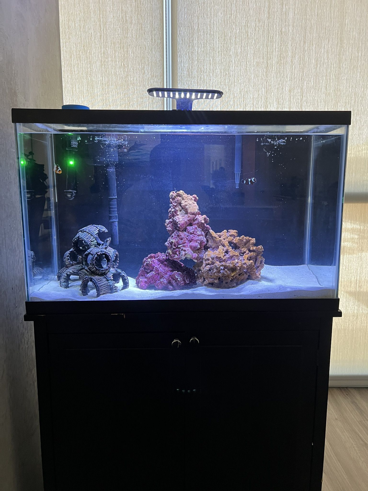 29 Gallon Fish Tank (Comes With Stand And Filters) Light Is Needed