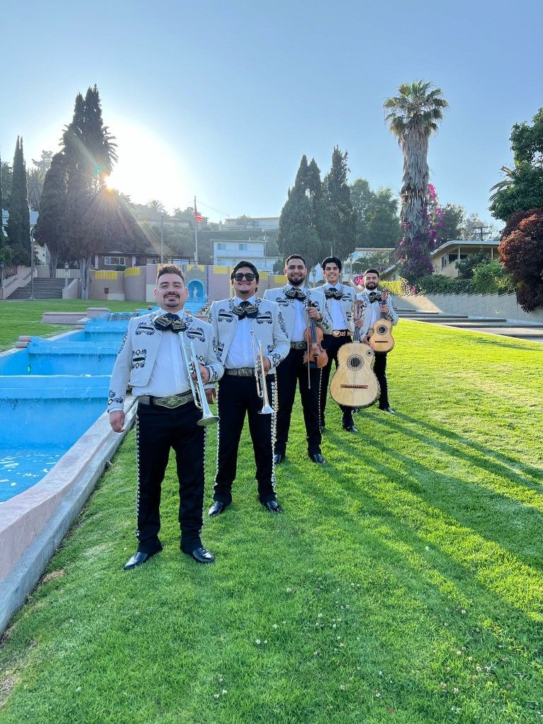 Mariachi Violin
