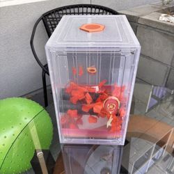 Crested Gecko Enclosure