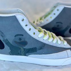 Oregon Ducks Team Issue Nike Shoes