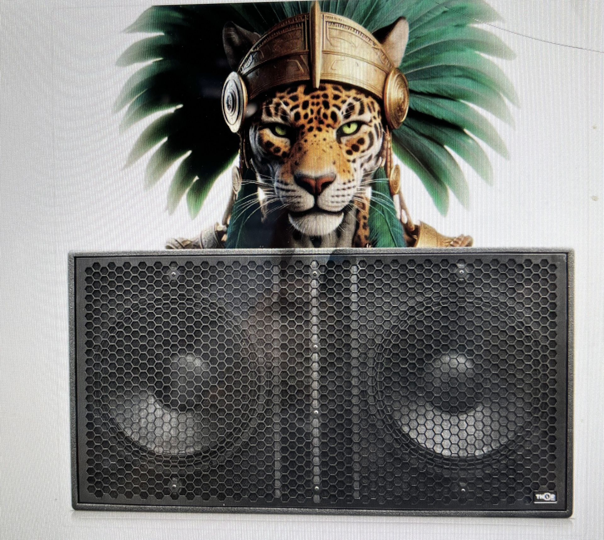 Thor TS-218A Jaguar Subwoofer Powered