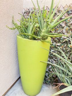 Planters