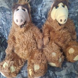 ALF