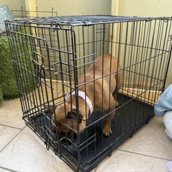 Dog Crate Small
