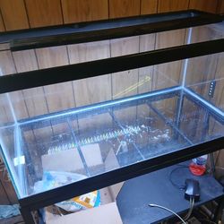 40 Gallon Breeder
