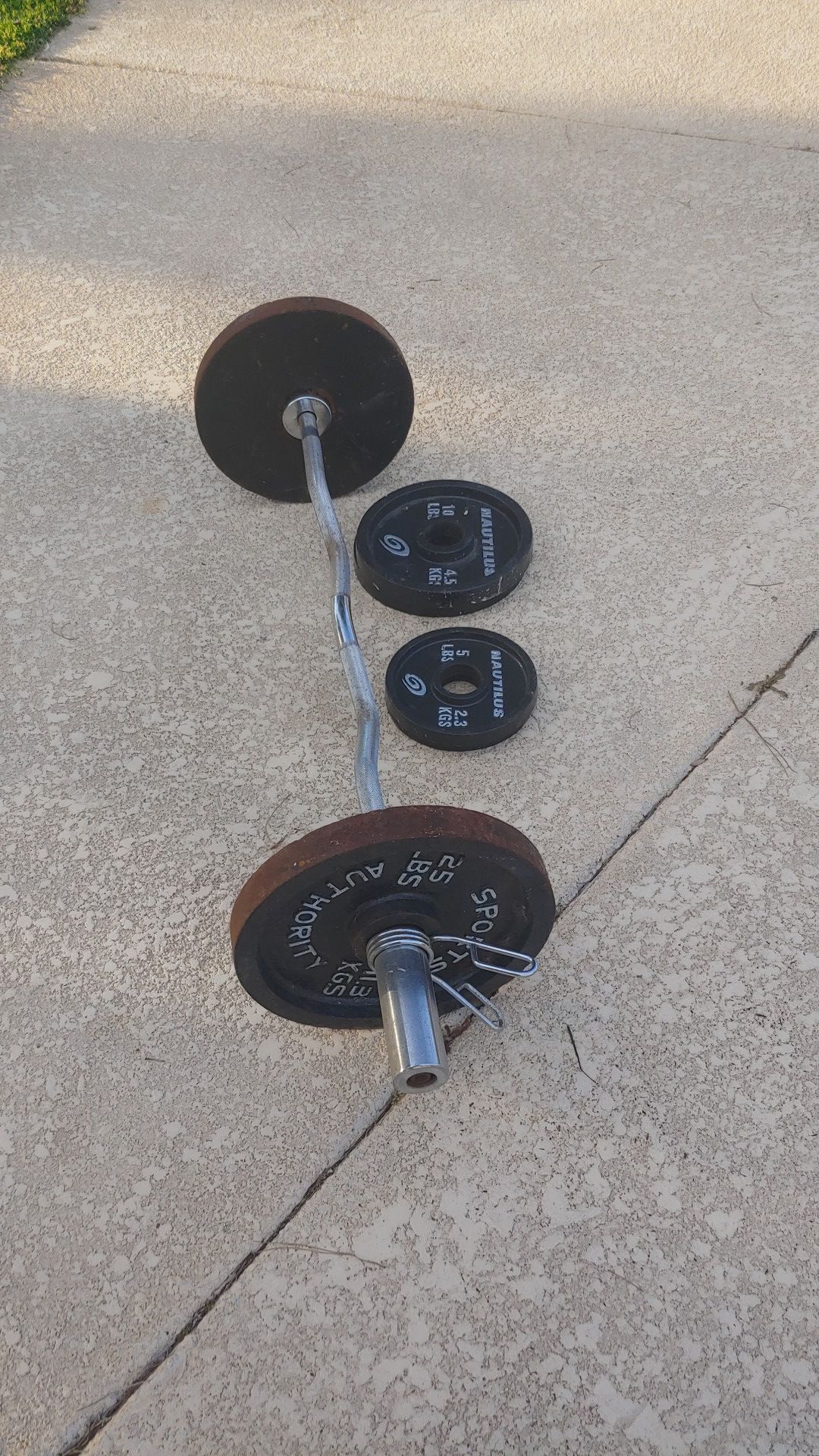 Olympic weights curl bar