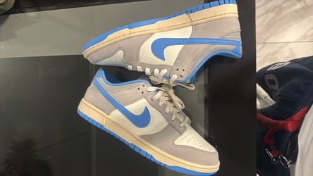 Nike dunk brand new