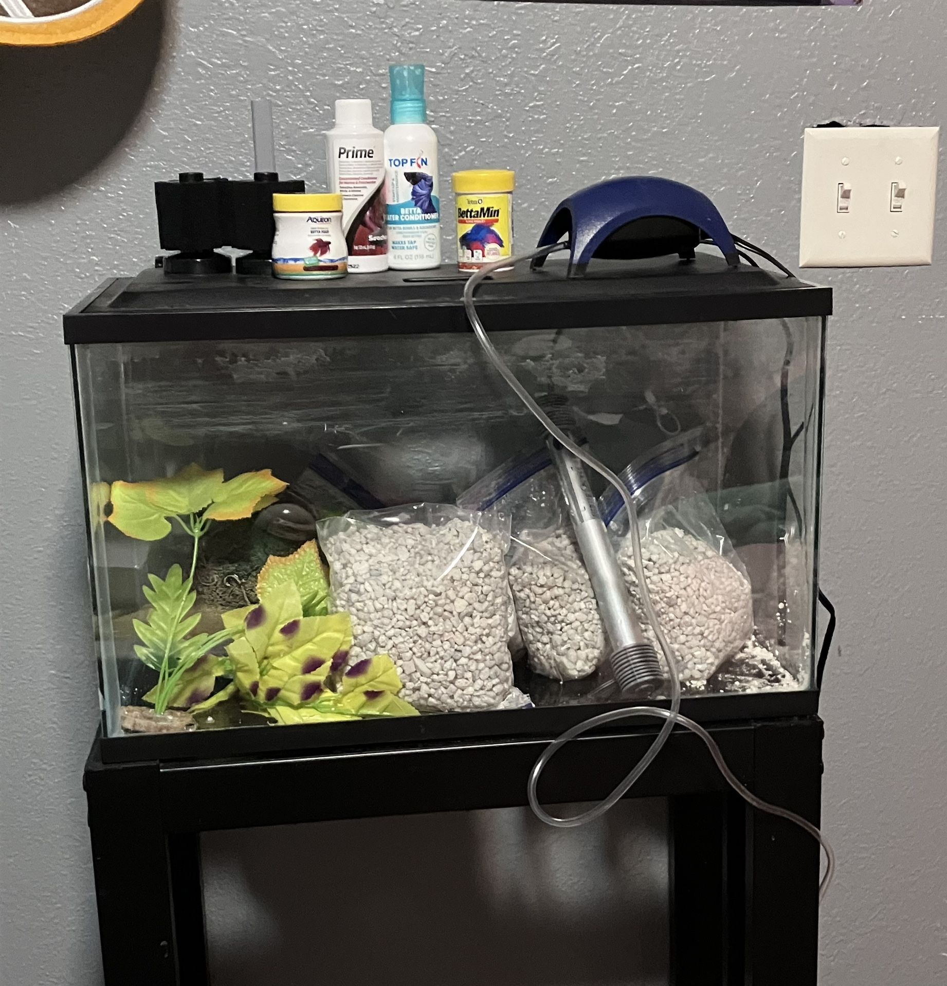 10 Gallon Aquarium + Stand & Accessories