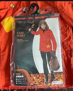 Sam Costume Large 