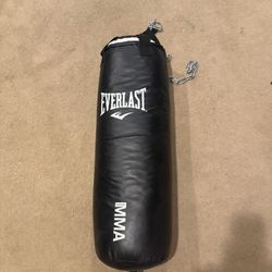 Everlast Heavy Bag