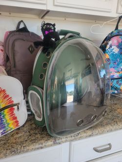 Cat carry backpack
