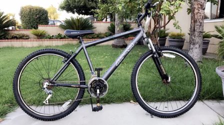 Schwinn addison bike hotsell