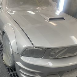 Mustang NEW PAINT !