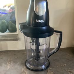Ninja Blender.  Works Great!