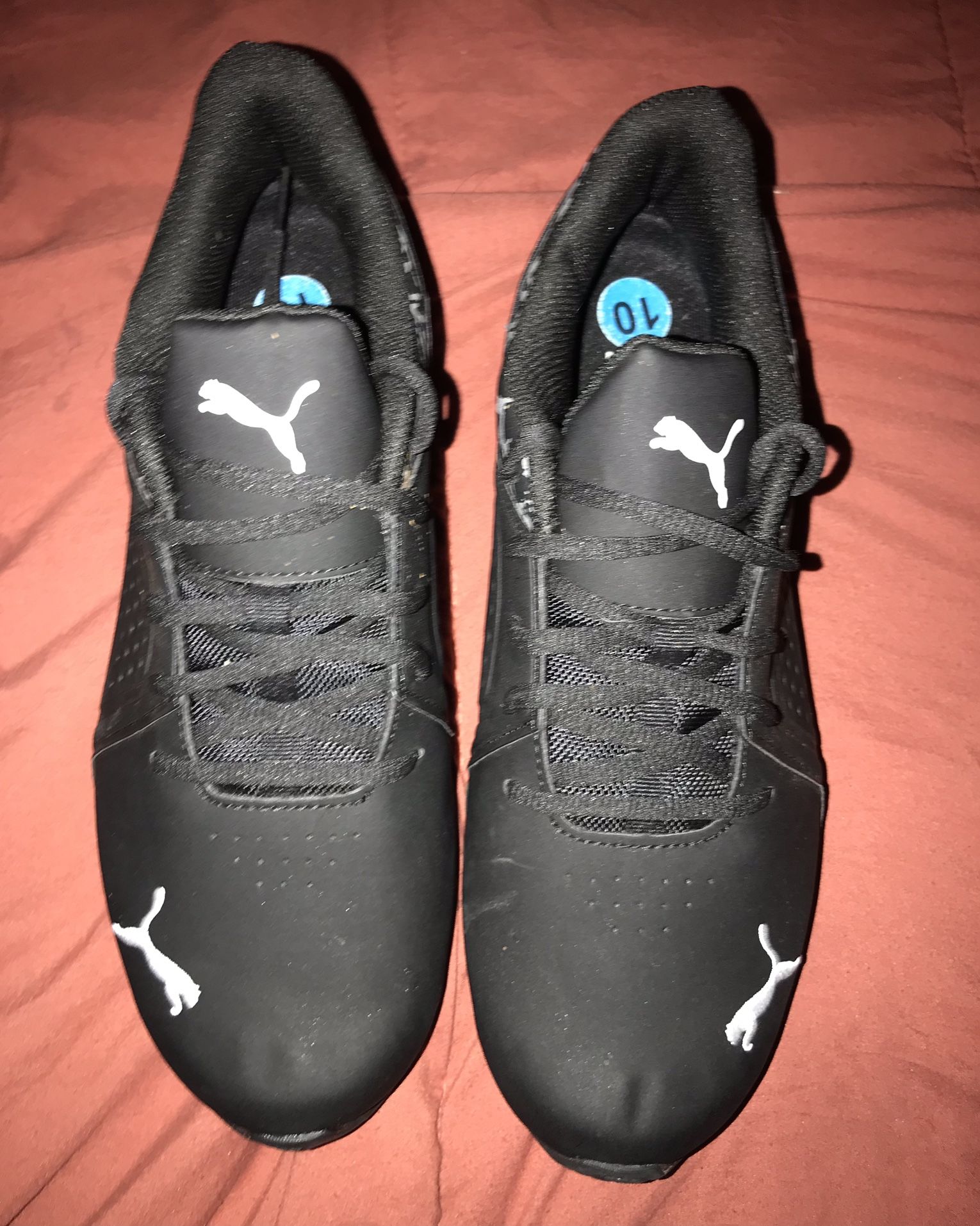 Puma