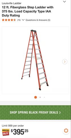 12ft Ladder