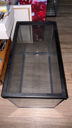 20 gallon tank