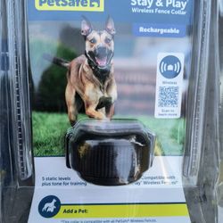 Stay and Play Collar