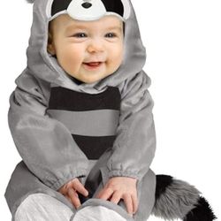 Baby Racoon