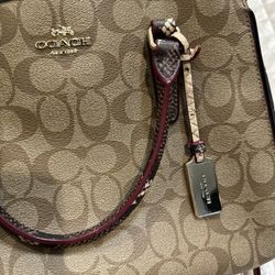 Pre Loved Coach Handbag/Crossbody bag