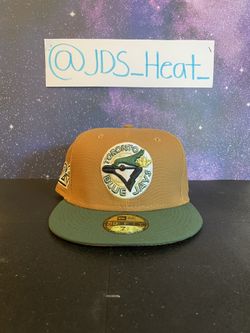Toronto Blue Jays