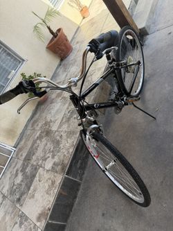 Bicicletas