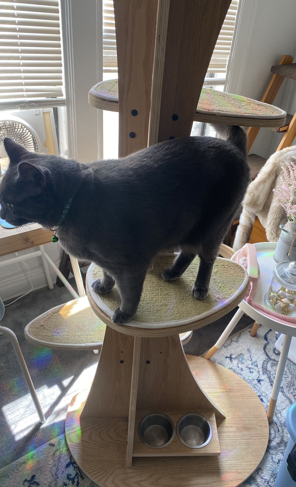 Cat Tree
