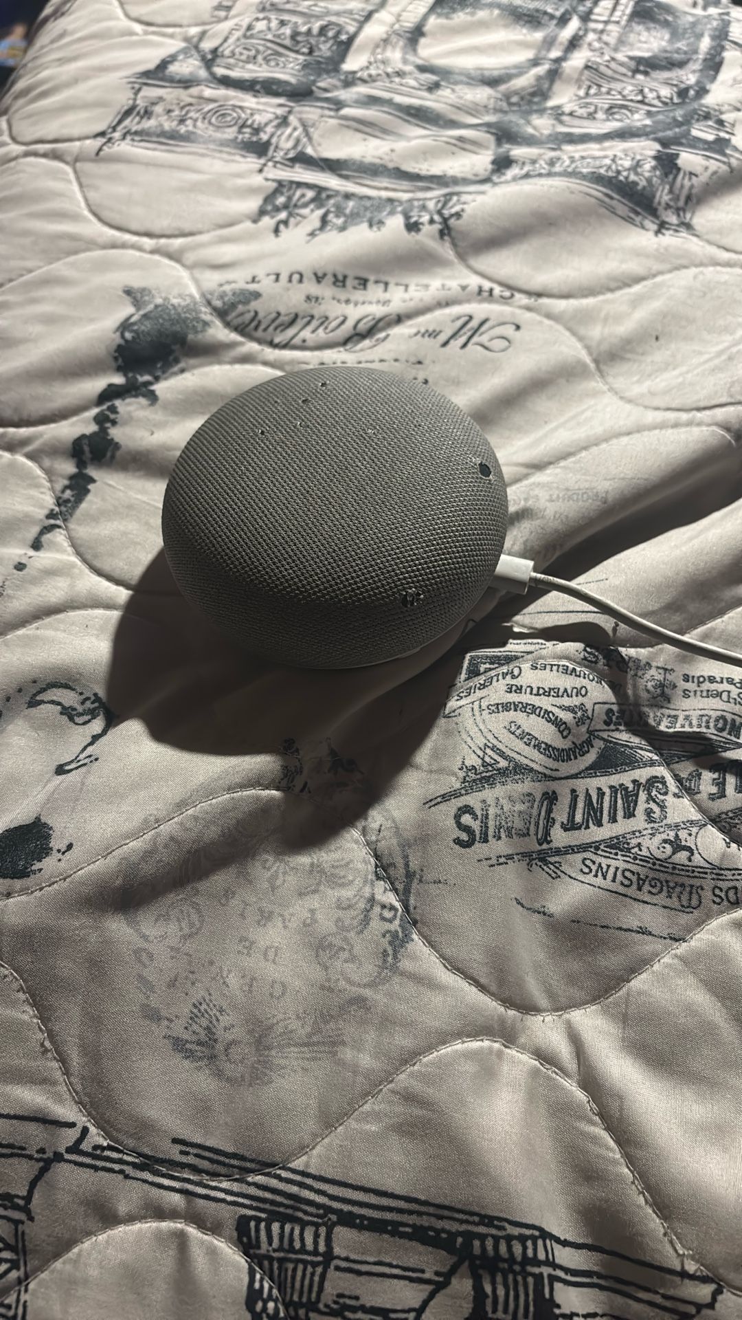 Google Home