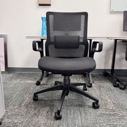 Office Chair / Task Chairs | 25% Off Sale!
