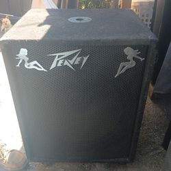 Bass PV118D Peavey Powered 18 Inch 600 Watts RMS 1200 Watts Peak In Good Condition