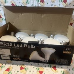 12 Pack Of Light Bulbs 💡 