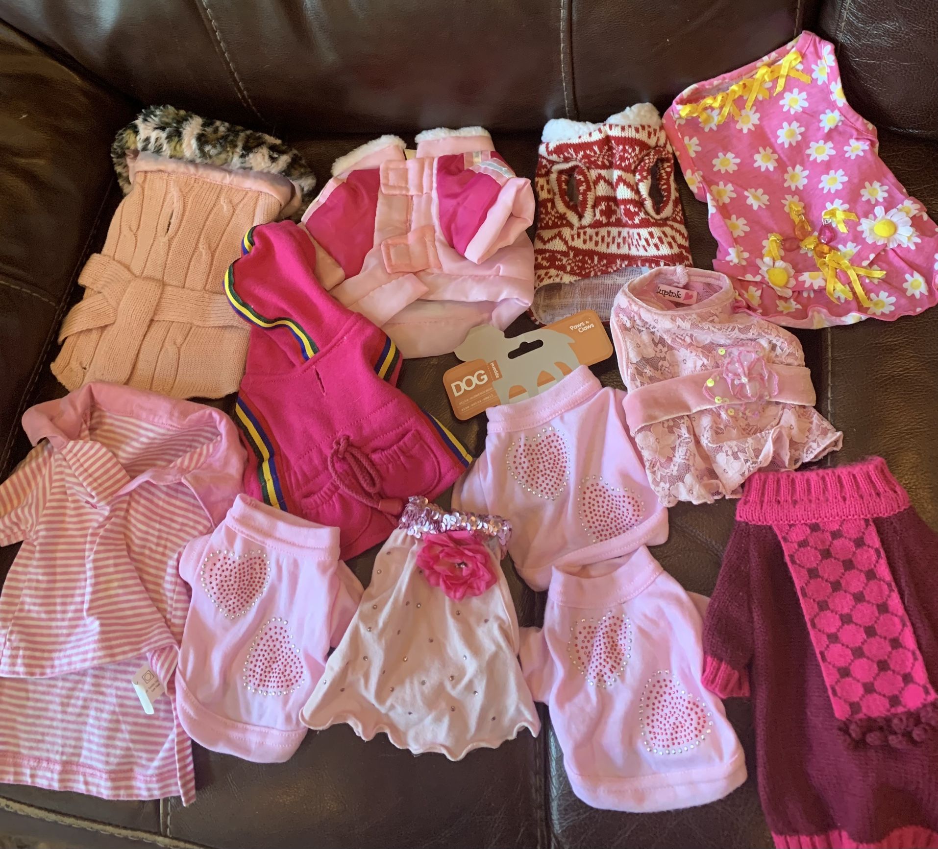Small Dog Clothes ….Chihuahua Clothes.
