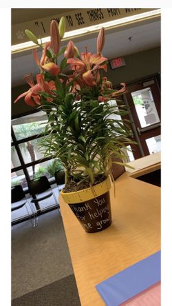 Thanks for helping me grow plant for teachers.